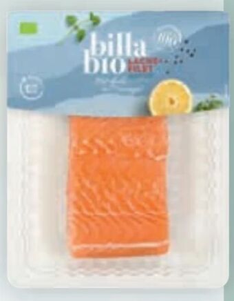 Billa Bio lachsfilet Angebot