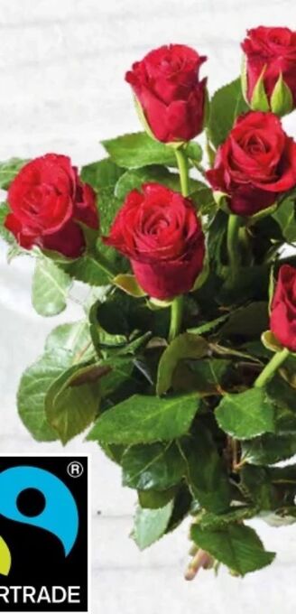 Spar Rosen Angebot