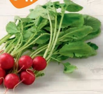 Billa Radieschen Angebot