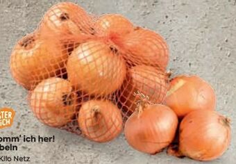 Billa Zwiebeln Angebot