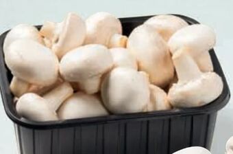 Billa Champignons Angebot
