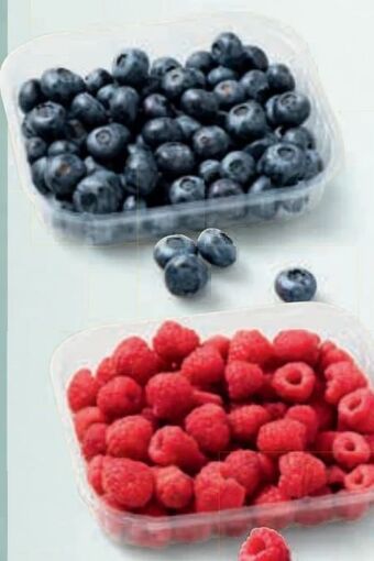 Billa Himbeeren Angebot