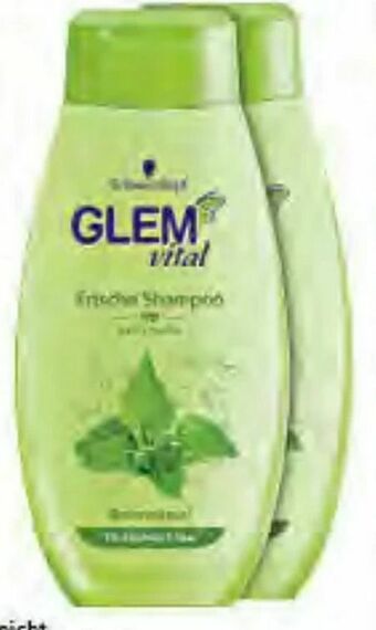 Müller Glem Vital Shampoo Angebot