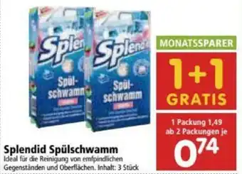 Interspar Splendid Spülschwamm Angebot