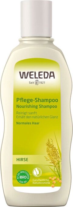 dm Shampoo Angebot