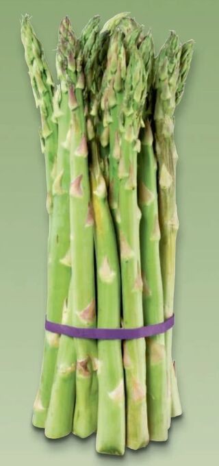 Metro Spargel Angebot