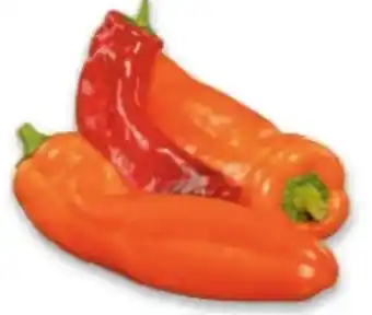 Metro Spitzpaprika Angebot