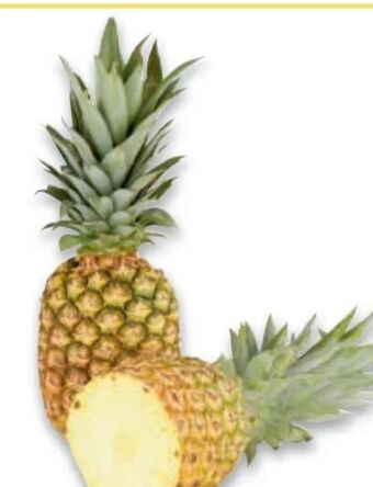 Metro Ananas Angebot