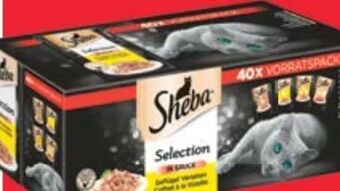 Maximarkt Geflügel maxipack Angebot