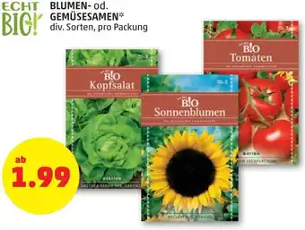 PENNY Blumen- od. Gemüsesamen Angebot