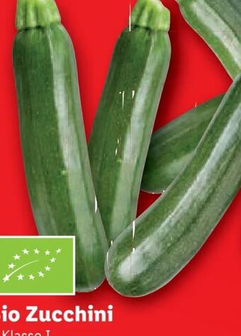 Lidl Bio-zucchini Angebot