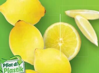Lidl Bio-zitronen Angebot