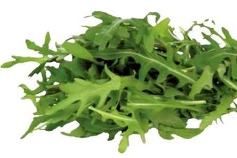 Transgourmet Bio rucola Angebot