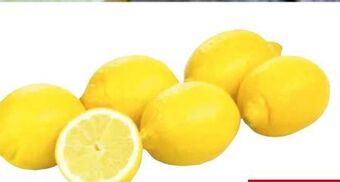 Transgourmet Zitronen Angebot