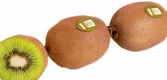 Transgourmet Bio kiwi Angebot