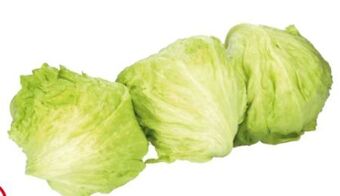 Transgourmet Eisbergsalat Angebot