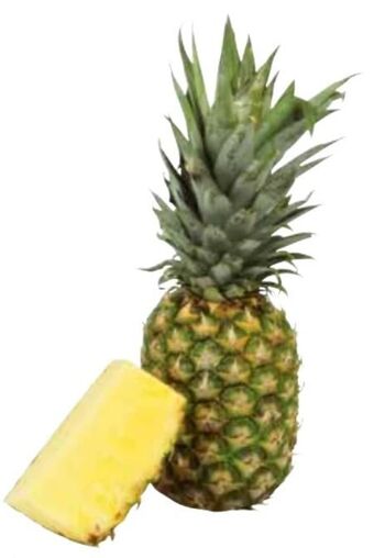 Transgourmet Ananas Angebot