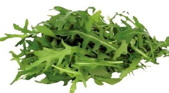 Transgourmet Bio rucola Angebot