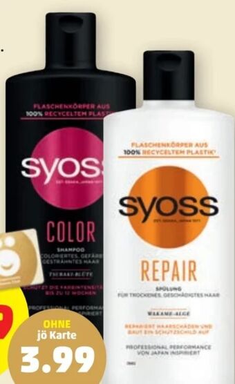 PENNY Shampoo Angebot