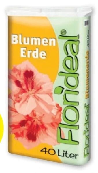 PENNY Blumenerde Angebot