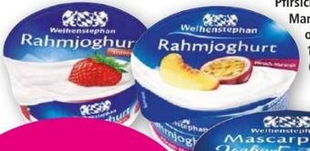 Norma Mascarpone joghurt Angebot