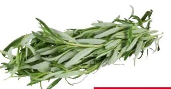 Transgourmet Rosmarin Angebot