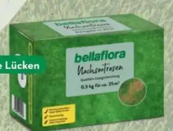 Bellaflora Nachsaat rasen Angebot