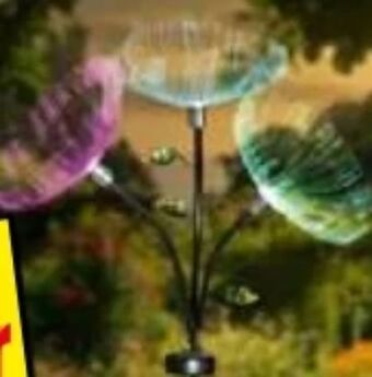Norma Led solar-blume dandelion Angebot