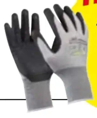 Zgonc Handschuhe multiflex touch Angebot
