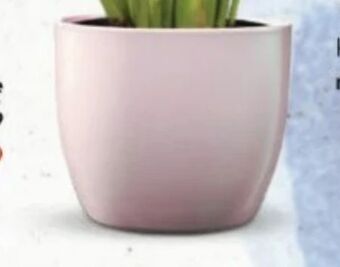 Bellaflora Topf basel Angebot