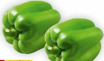 Billa Paprika Angebot