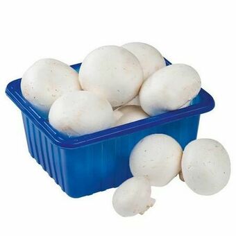 Billa Champignons Angebot