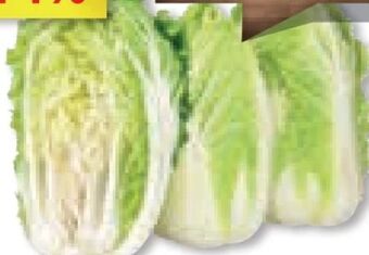 Unimarkt Chinakohl Angebot