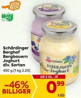 Billa Schärdinger Berghof Bergbauern joghurt div. Sorten 450g Angebot