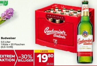 Billa Budweiser 0,5 Liter Angebot