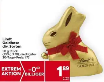 Billa Lindt Goldhase div. Sorten 50g Stk. Angebot