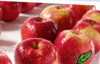 Spar Äpfel Angebot