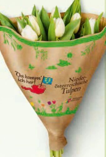 Billa Tulpen Angebot