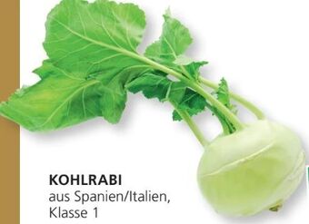 SPAR Gourmet Kohlrabi Angebot