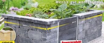 Bauhaus Hochbeet quadro antik Angebot