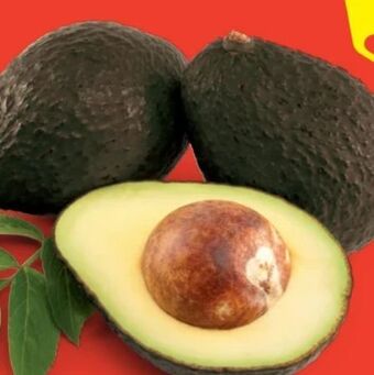 Hofer Iss reif! avocados Angebot