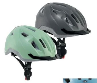 Hofer Fahrradhelm Angebot