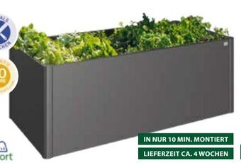 Dehner Metall hochbeet Angebot