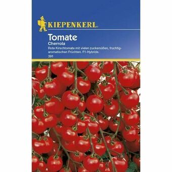 Hellweg Tomaten cherrola Angebot