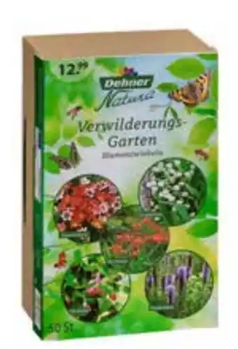 Dehner Blumenzwiebeln verwilderungs-garten Angebot