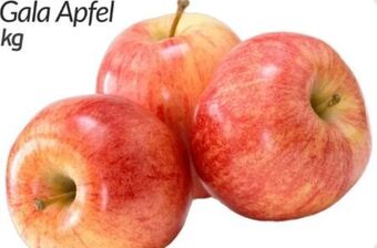 ETSAN Äpfel gala Angebot