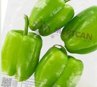 ETSAN Paprika Angebot