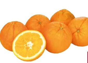 Transgourmet Orangen Angebot