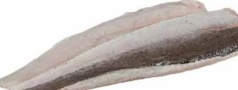 Transgourmet Kap seehechtfilet Angebot