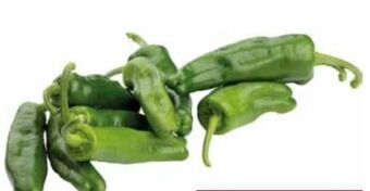 Transgourmet Pimientos de padrón Angebot
